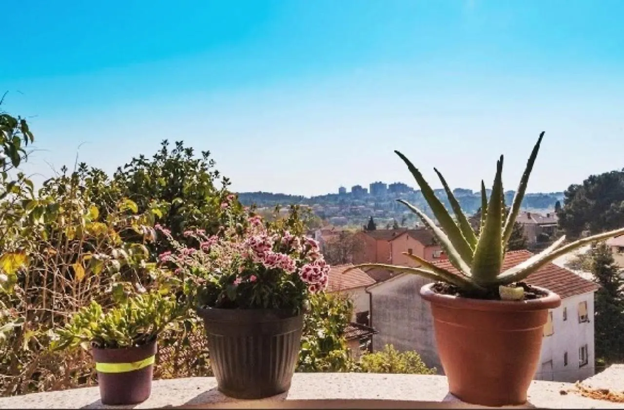 Apartment Emi Pula Croatia